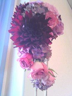 a0052621_19532378.jpg