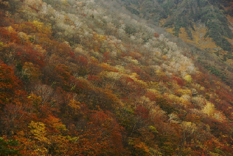 b0062024_2022151.jpg