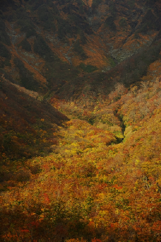 b0062024_203397.jpg