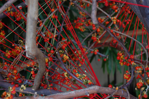 a0041925_04760.jpg