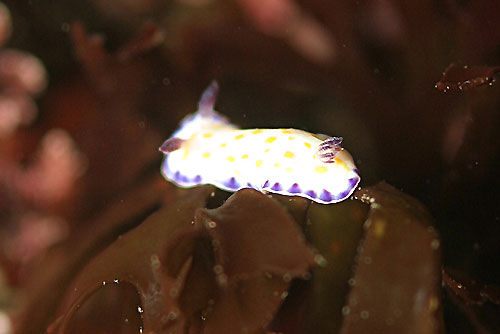 b0044726_2314247.jpg
