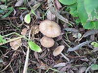 b0066826_19143139.jpg