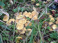 b0066826_19144481.jpg