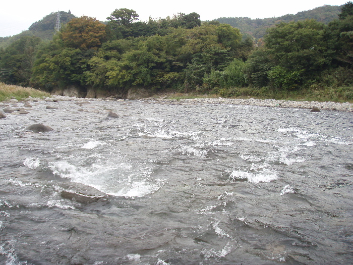 f0103126_17435065.jpg