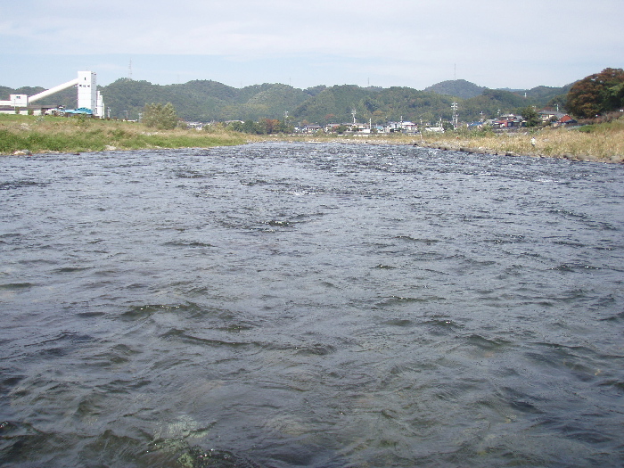 f0103126_875940.jpg