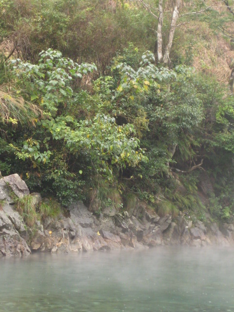 d0147727_18361226.jpg