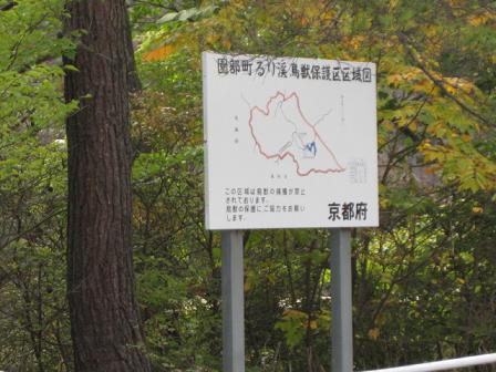 b0121029_19445441.jpg