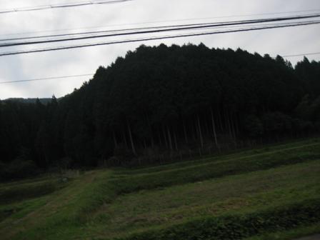 b0121029_1985775.jpg