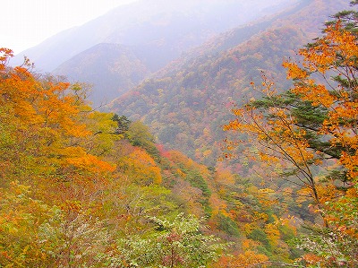 b0005432_2344258.jpg