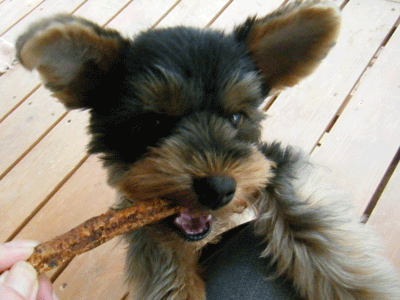 f0008935_811610.gif