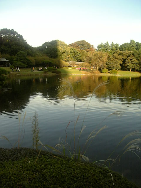 a0106340_0145213.jpg