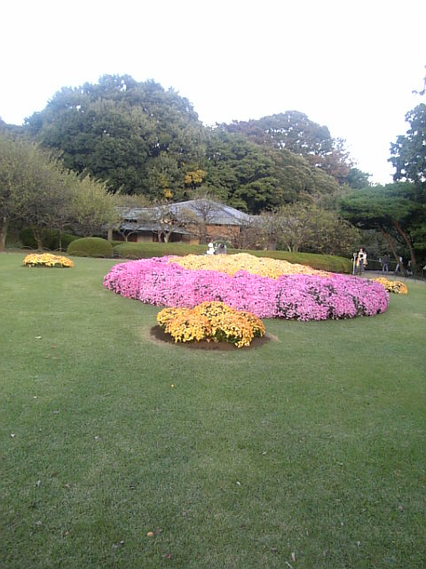 a0106340_0151694.jpg
