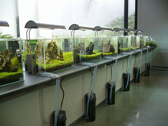 e0149241_1313581.jpg