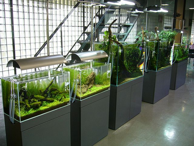 e0149241_17562997.jpg