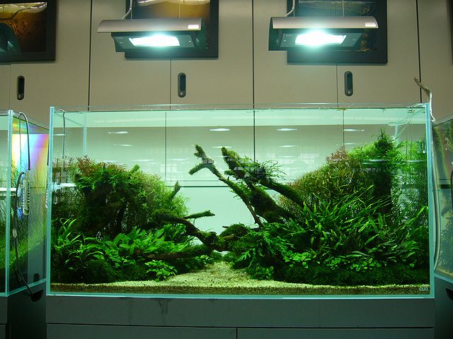 e0149241_17571621.jpg