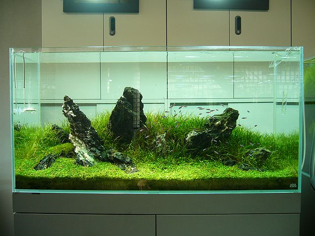 e0149241_18105415.jpg