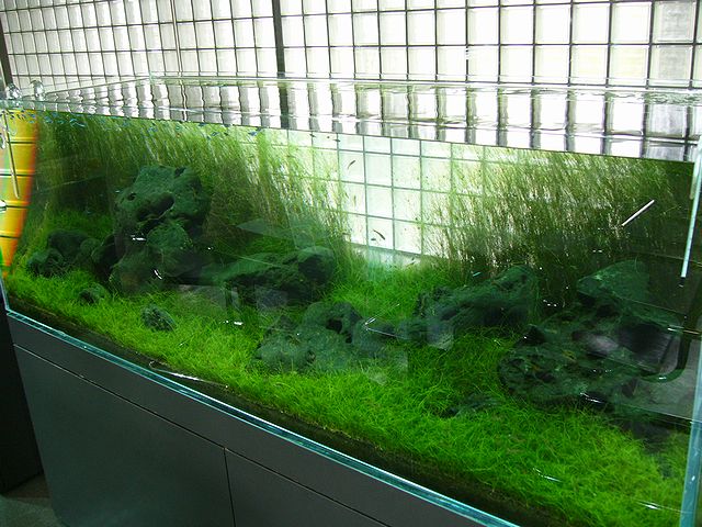 e0149241_18155221.jpg