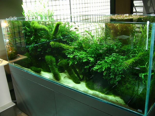 e0149241_1818464.jpg