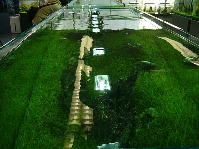 e0149241_182348.jpg