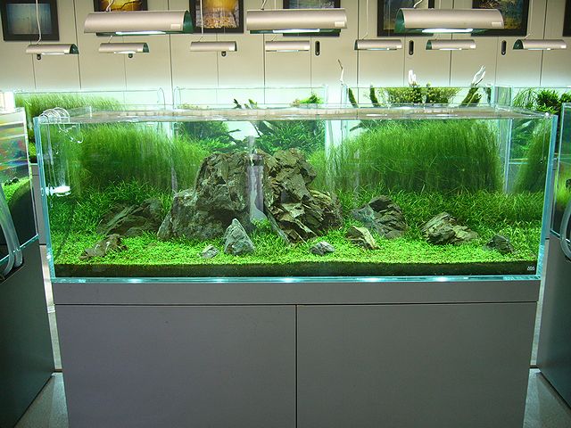 e0149241_1884128.jpg