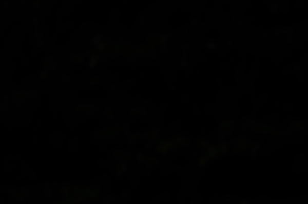 b0036743_17181391.jpg