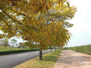 f0122843_11302524.jpg