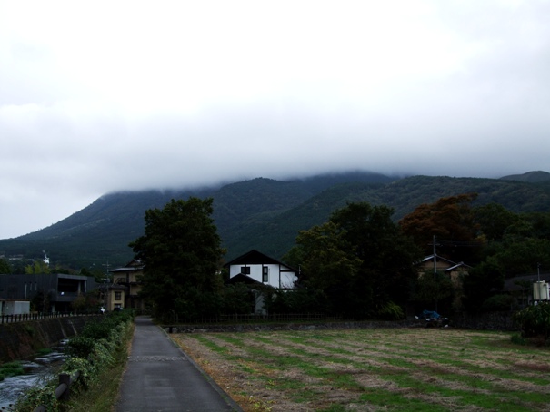 d0023346_1615331.jpg