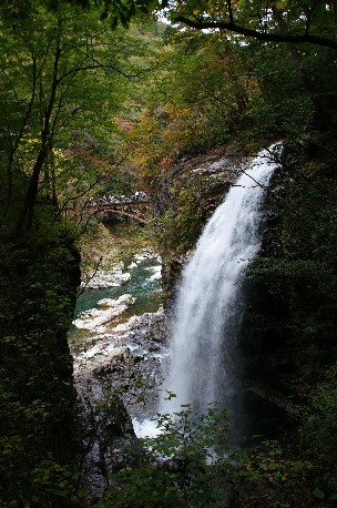 b0140347_11372159.jpg