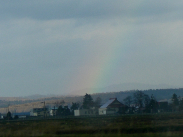 b0049549_2162226.jpg
