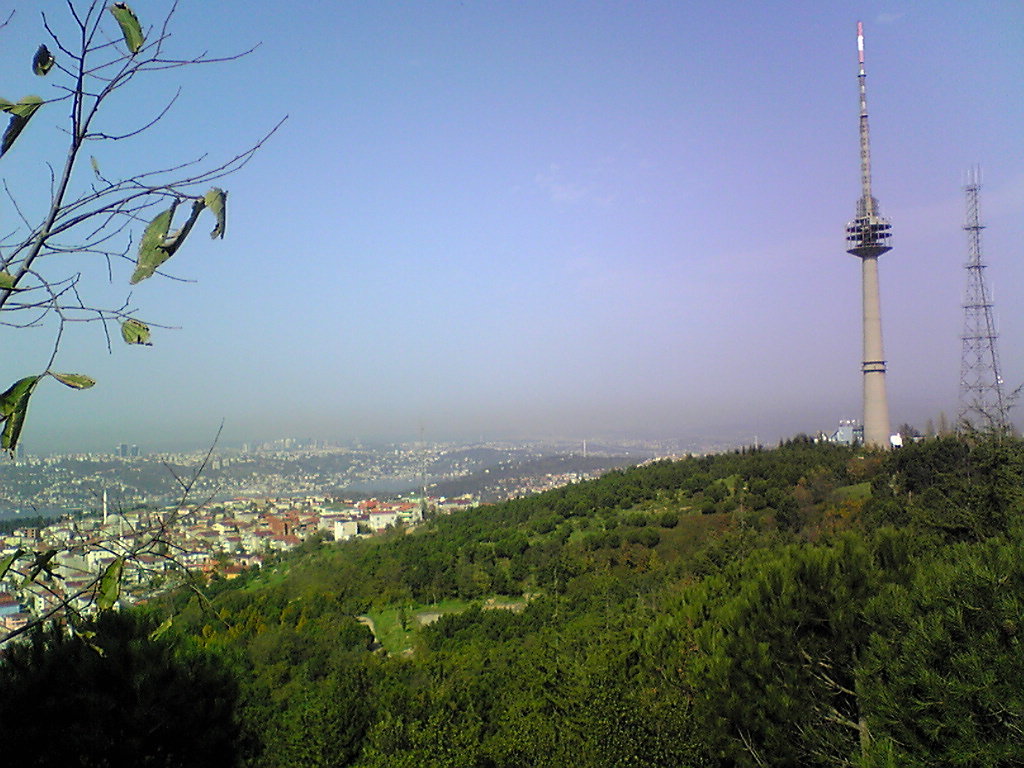 f0028549_1213048.jpg