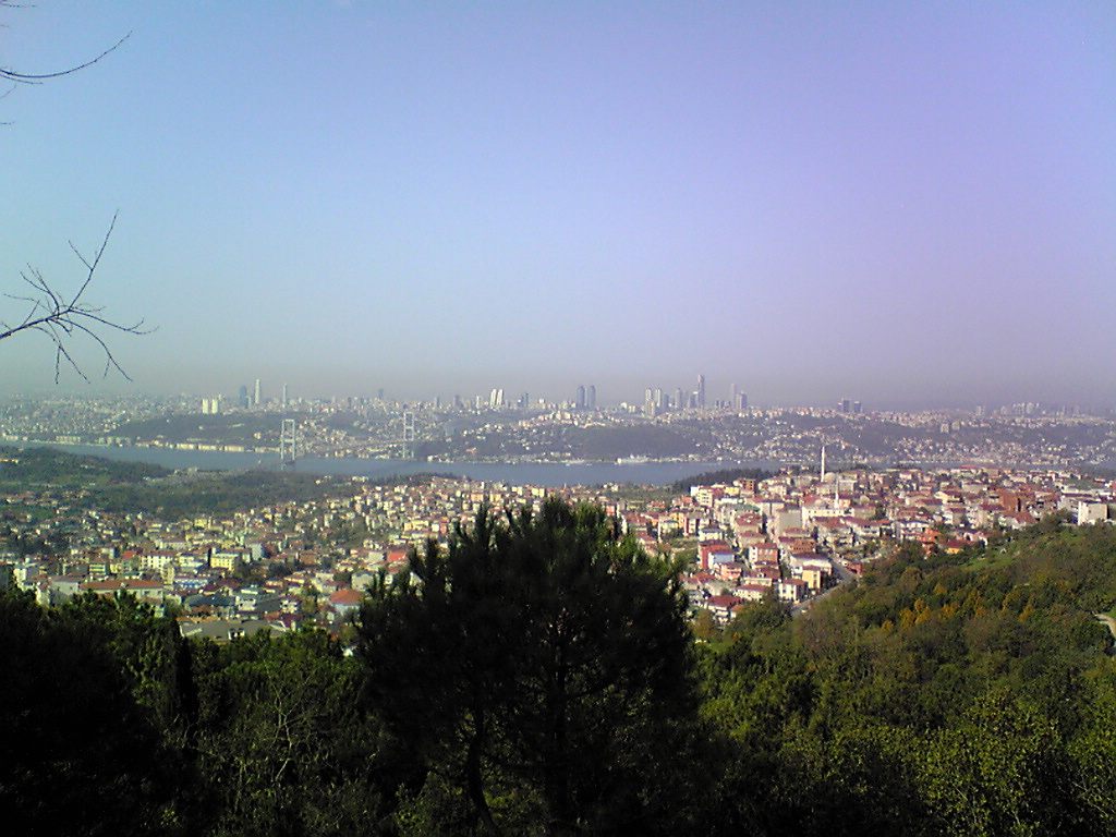 f0028549_122480.jpg