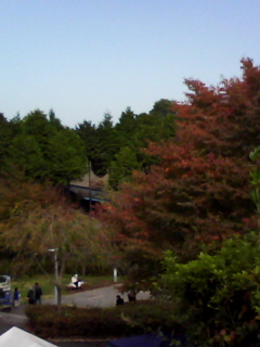 b0119950_22361636.jpg