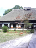 b0119950_22361693.jpg