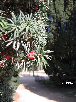 c0098050_0435493.jpg