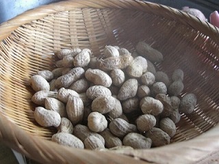 f0009451_915114.jpg