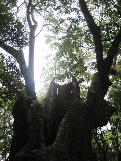 f0194957_165328.jpg