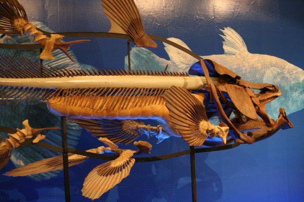 b0092958_1294429.jpg
