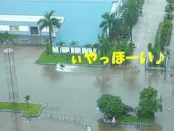 c0171358_17304020.jpg