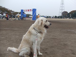 a0104162_18125382.jpg