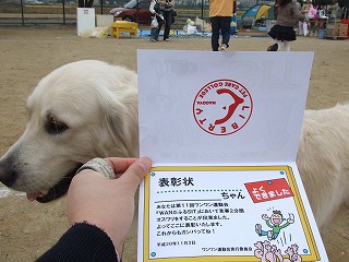 a0104162_18131438.jpg