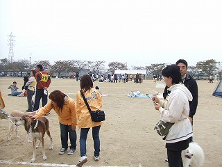 a0104162_18133374.jpg