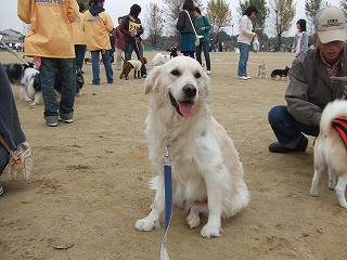 a0104162_1813828.jpg