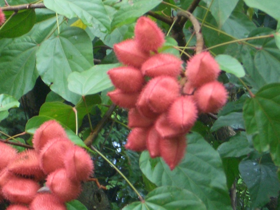 f0195963_1730535.jpg
