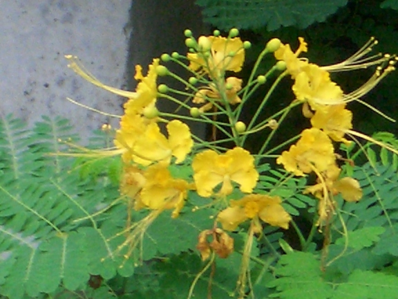 f0195963_173309.jpg