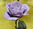 b0031166_13394347.jpg