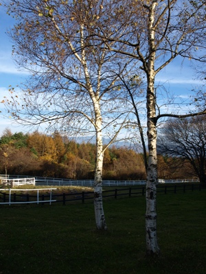 c0102268_2203288.jpg