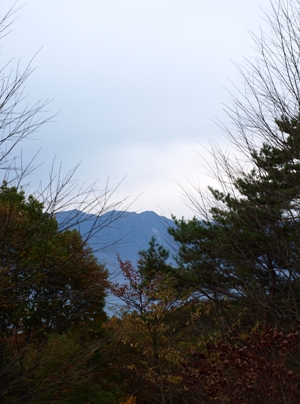 c0102268_22142630.jpg