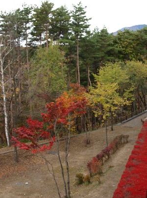 c0102268_22144913.jpg