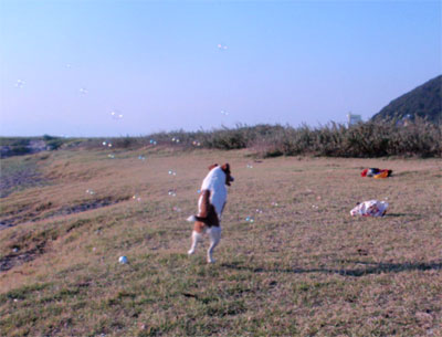 f0045872_1443345.jpg