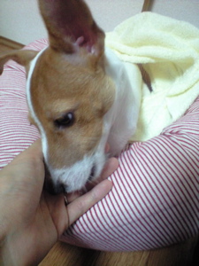 c0170778_2348283.jpg